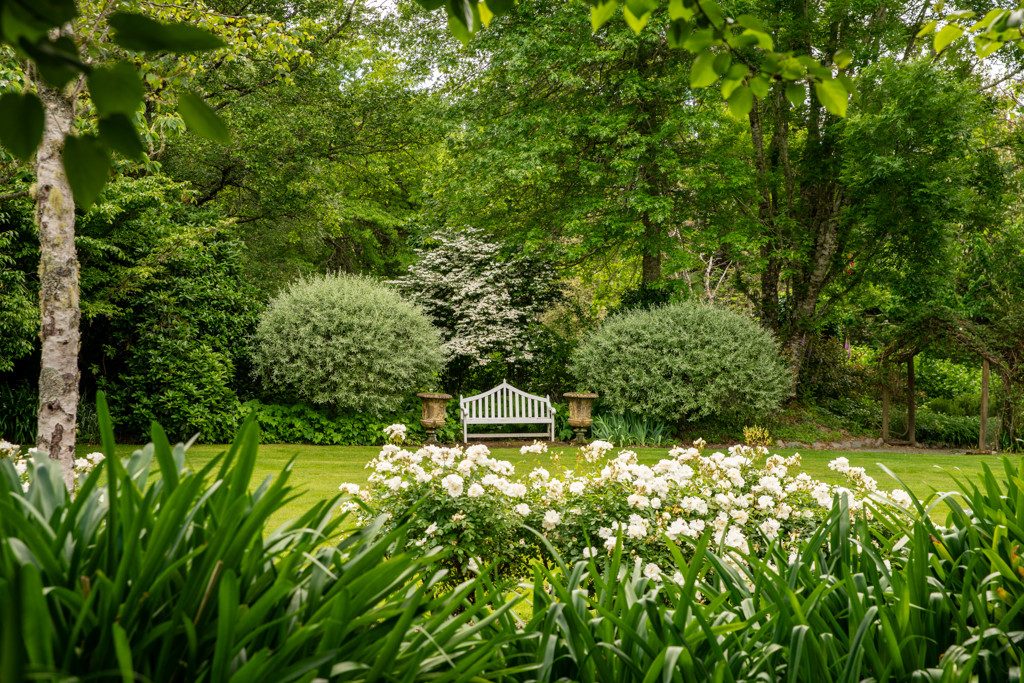 Manicured gardens with white agapanthus